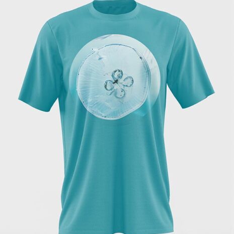 t-shirt-02 t-shirt-02